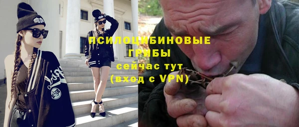 spice Медвежьегорск