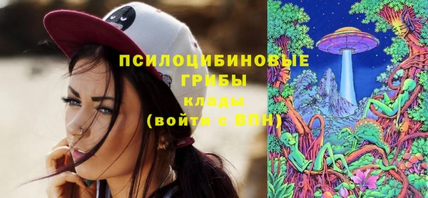 ПСИЛОЦИБИНОВЫЕ ГРИБЫ Мегион