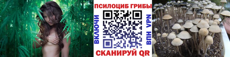 Галлюциногенные грибы Magic Shrooms  Новокузнецк 